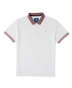 Polo Blanc Homme