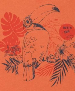 T-shirt Garçon Col Rond Orange -Style Famille Boutique prod 6967 tee shirt mc orange citrouille axul 666x812 fc7ea0111e0b