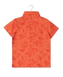 POLO MC ORANGE CITROUILLE COPALO -Style Famille Boutique prod 7058 polo mc orange citrouille copalo 666x812 fc7ea0111e0b